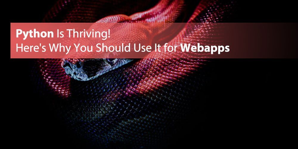 Python: A top contender for webapps and development